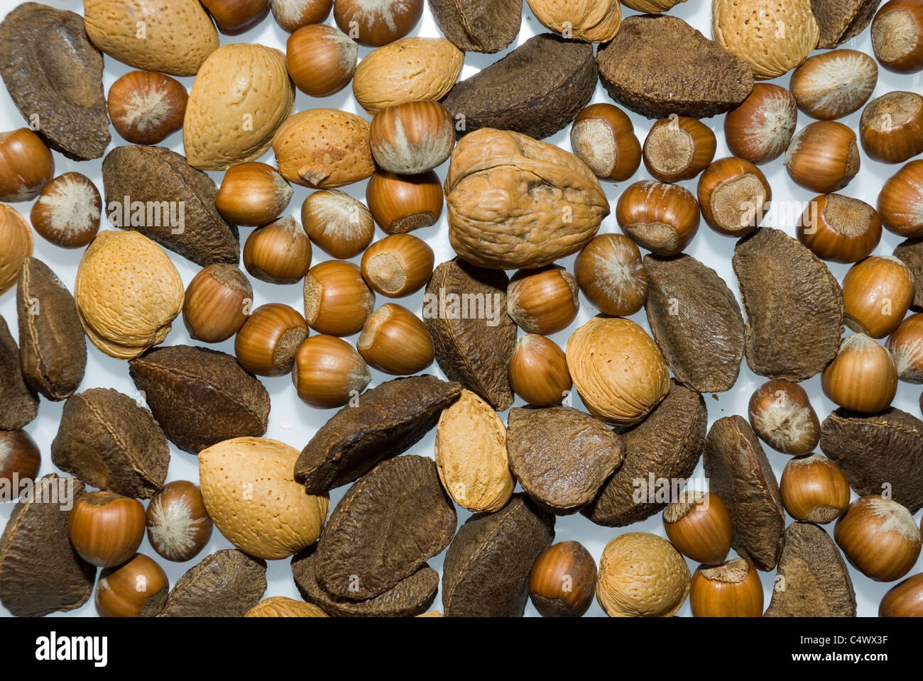Mixed Nuts in Shells Scattered Hazels Nuts, Walnuts, Brazil Nuts and