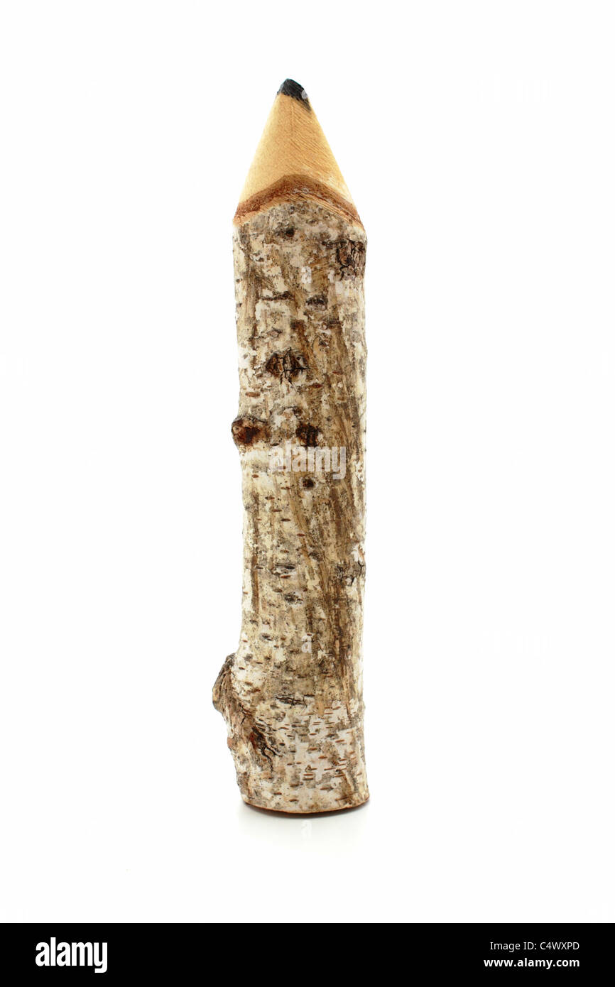 pencil made from beechwood isolated on white Stock Photo Alamy