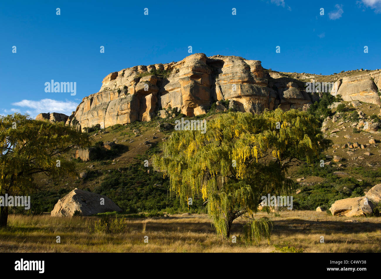 Piet retief hi-res stock photography and images - Alamy