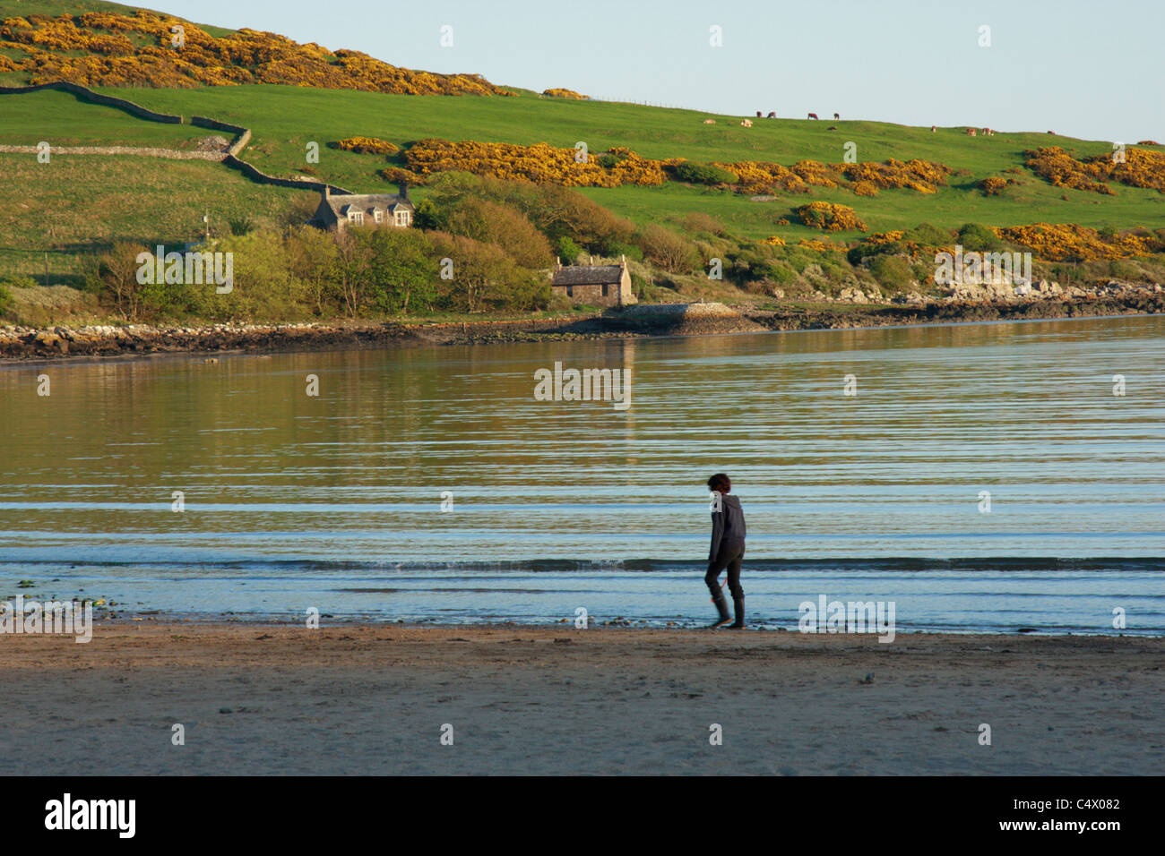 Man walking on sandy beach at Brighouse Bay near Kirkcudbright, Dumfries and Galloway, Scotland Stock Photo