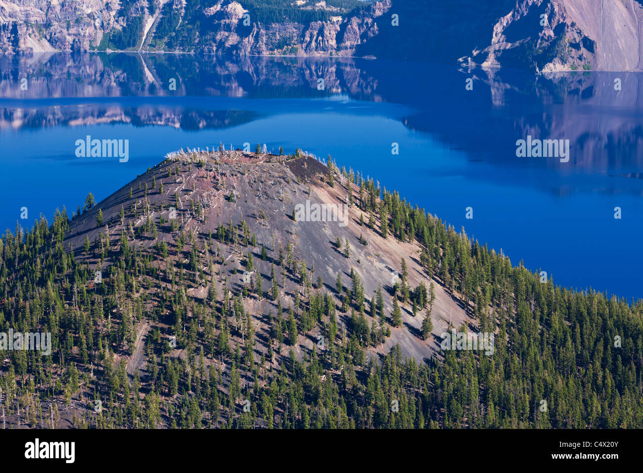 Wizard Island cinder cone in caldera of Crater Lake National Park US Oregon green trees on cone wall caldera rim reflection deep blue water background Stock Photo