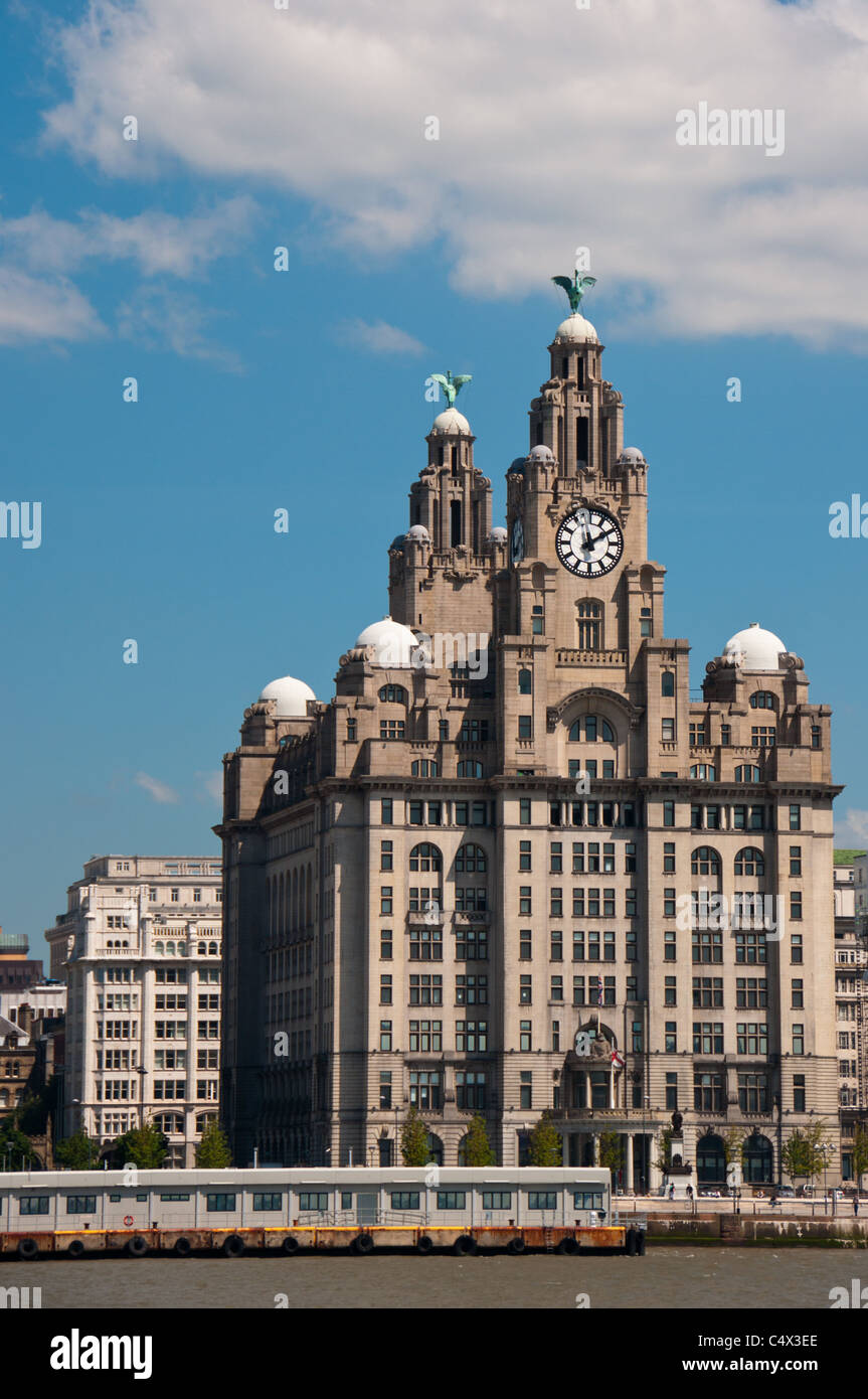 Liver Building, Liverpool, England Stock Photo Alamy