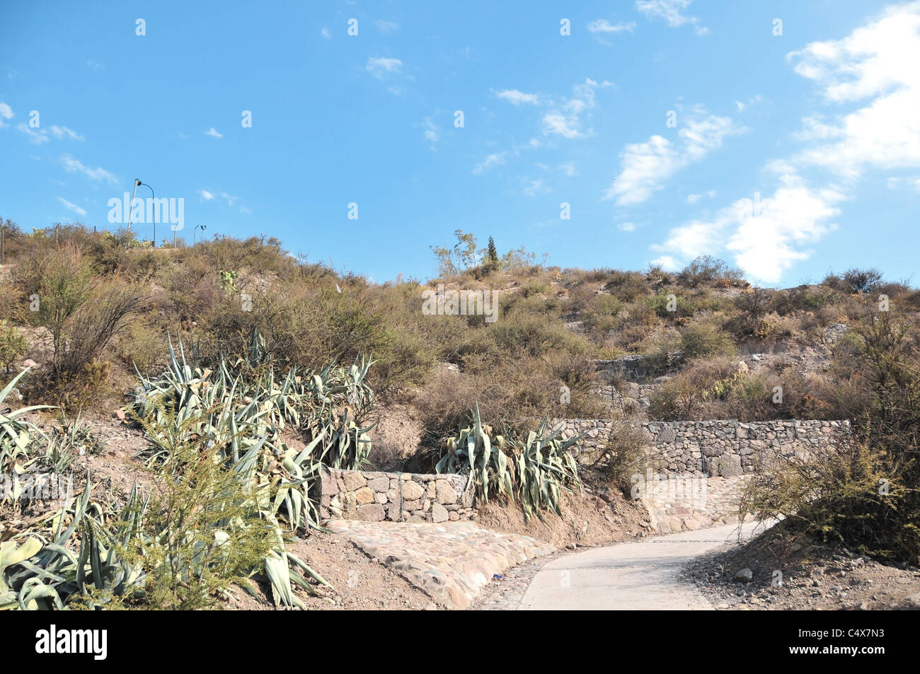Blue sky view, foot of path to hill summit, of hillside cacti and semi-desert scrub, Cerro de la Gloria, Mendoza, Argentina Stock Photo