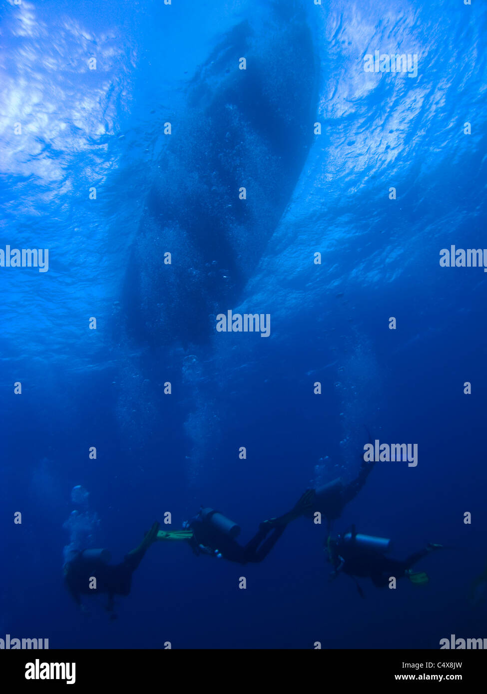 Divers beneath dive boat, Nassau, Bahamas Stock Photo Alamy