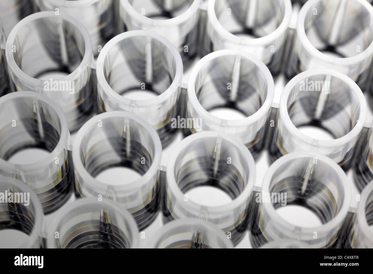 Closeup of a white plastic 96well plate used for luminescence