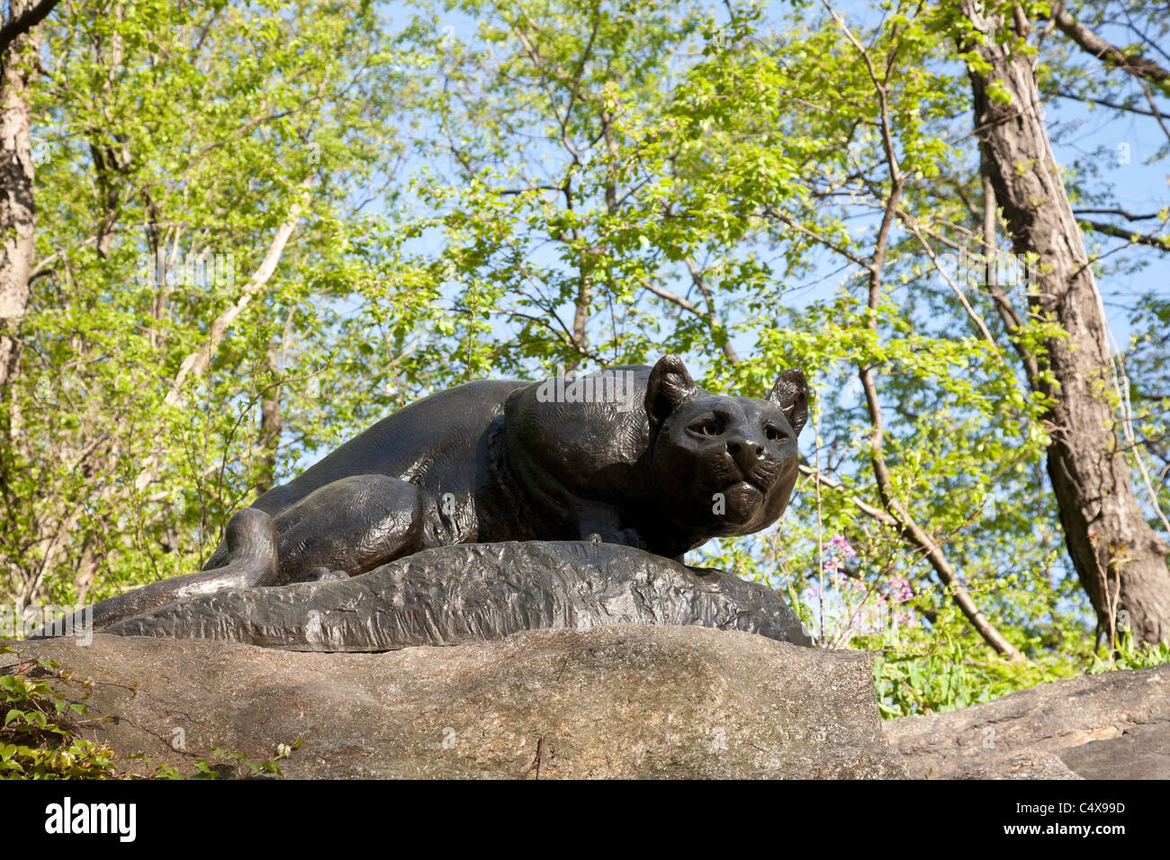'Still Hunt' Cougar Sculpture, East Drive, 'Cat Hill', Central Park, NYC Stock Photo