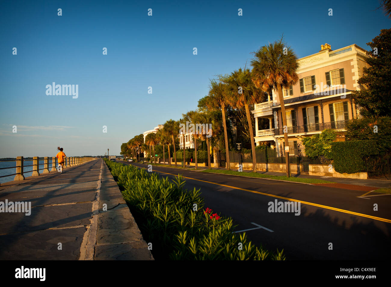 Historic homes along the Battery in Charleston, SC Stock Photo Alamy