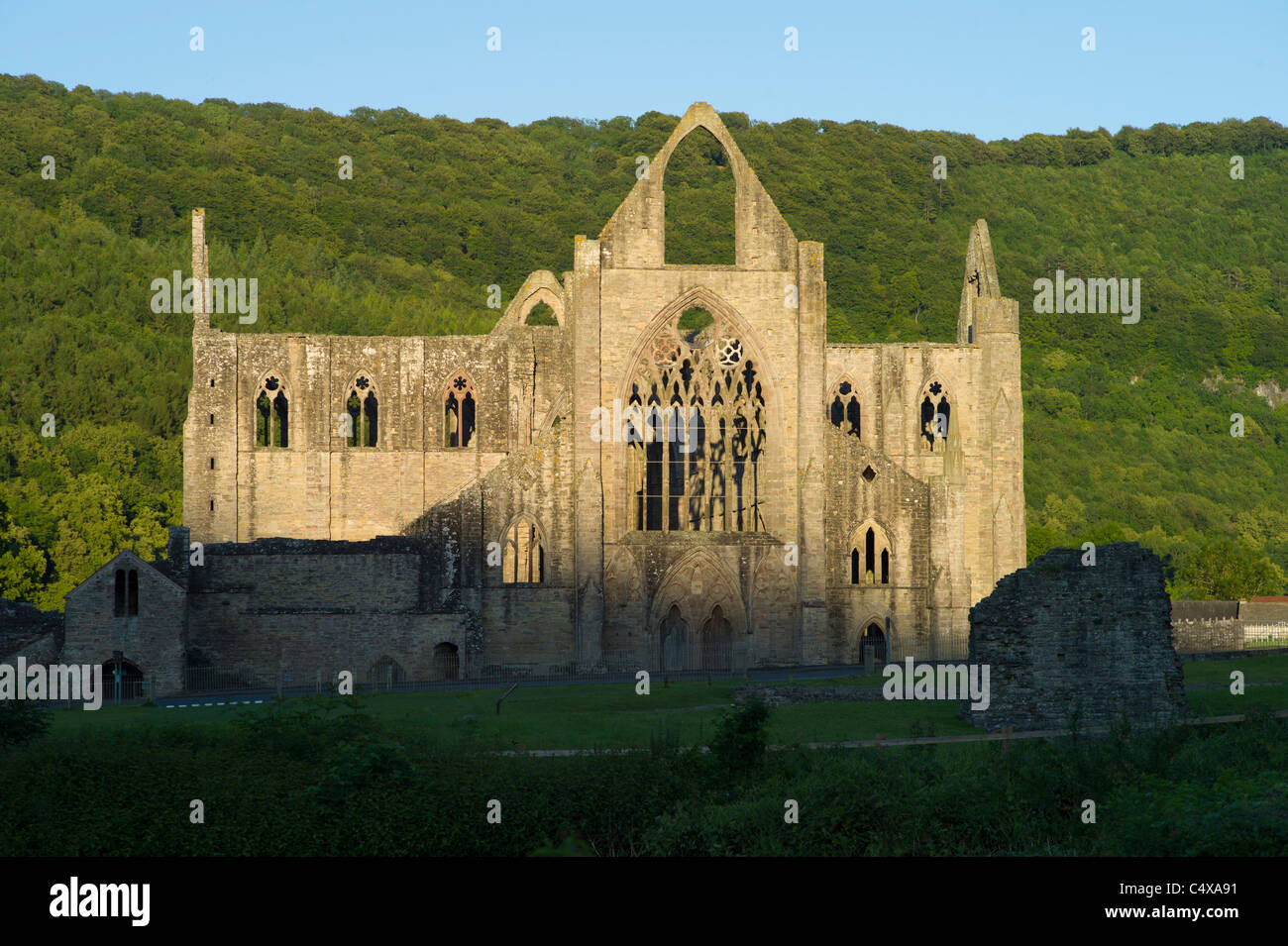 Tintern Abbey in the Wye Valley, Wales. Stock Photo