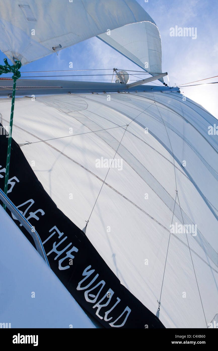 Looking up at sheets of the mainsail and genoa of a sailboat while out sailing Stock Photo
