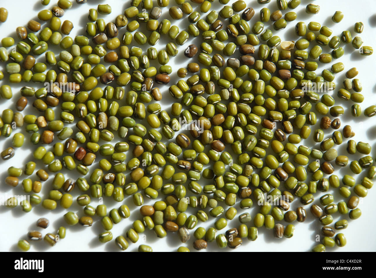 mung bean seeds Stock Photo
