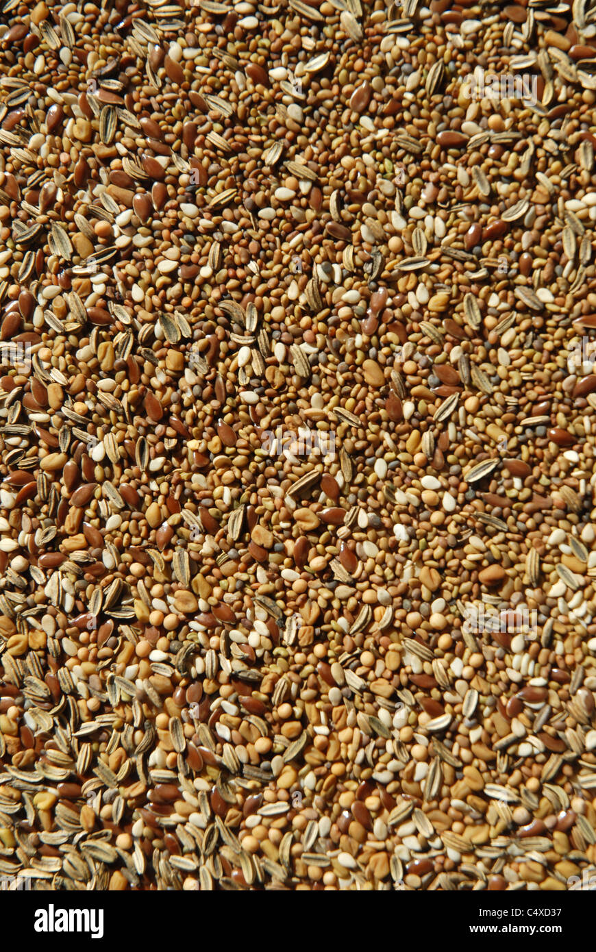 selection of seeds, salad sprouts, mixed Stock Photo