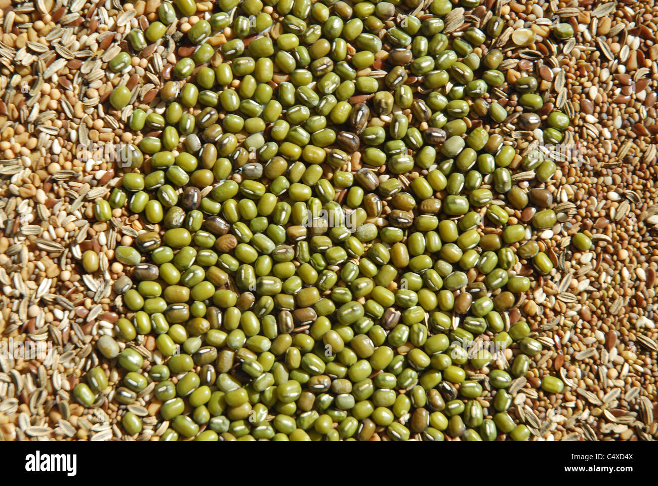 selection of seeds, salad sprouts including mung beans, mixed Stock Photo