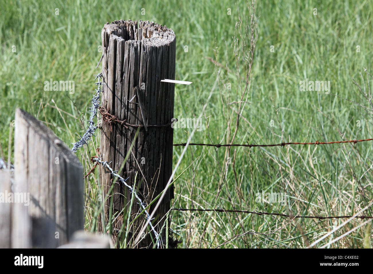 A corner fence post in a field with barbed wire attached Stock Photo