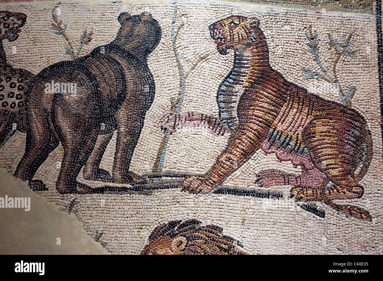 Roman mosaic in museum, Zaragoza, Aragon, Spain Stock Photo