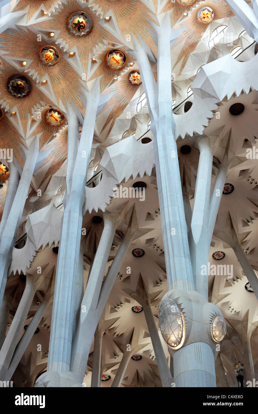 Sagrada familia ceiling hi-res stock photography and images - Alamy
