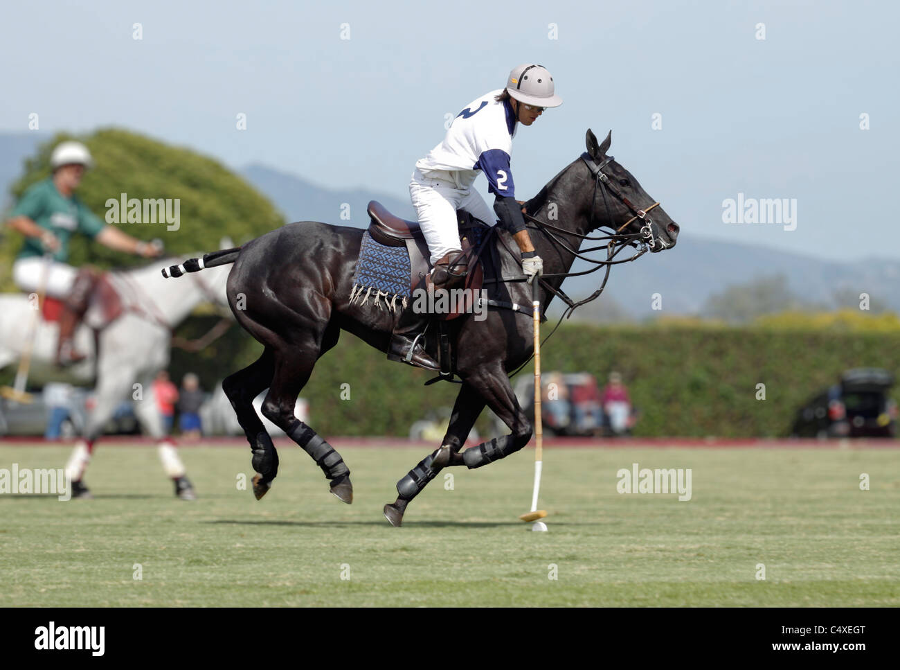 Polo player attempting to score a goal at the Santa Barbara, Polo Club Stock Photo