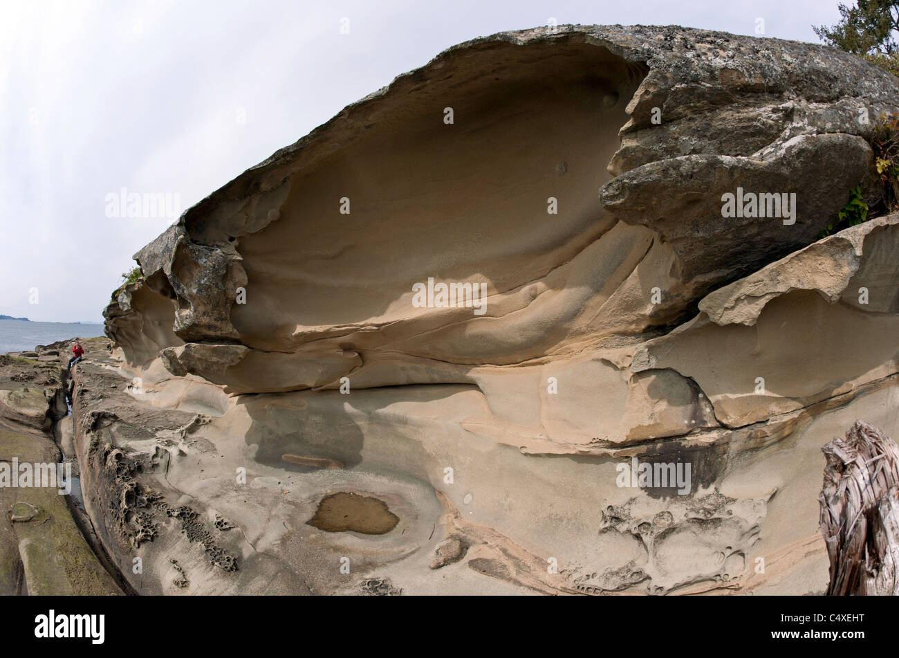Sandstone carvings at Gabriola Island, BC, Canada Stock Photo - Alamy
