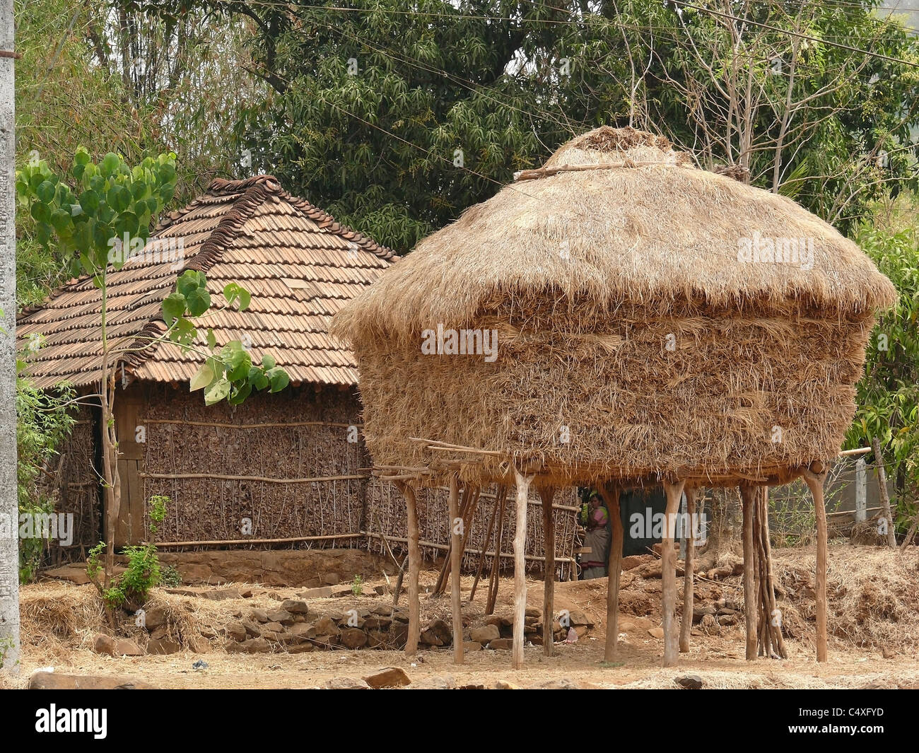 Hay stocked for feeding domestic animals, Mahabaleshwar, Satara, Maharasthra, India Stock Photo