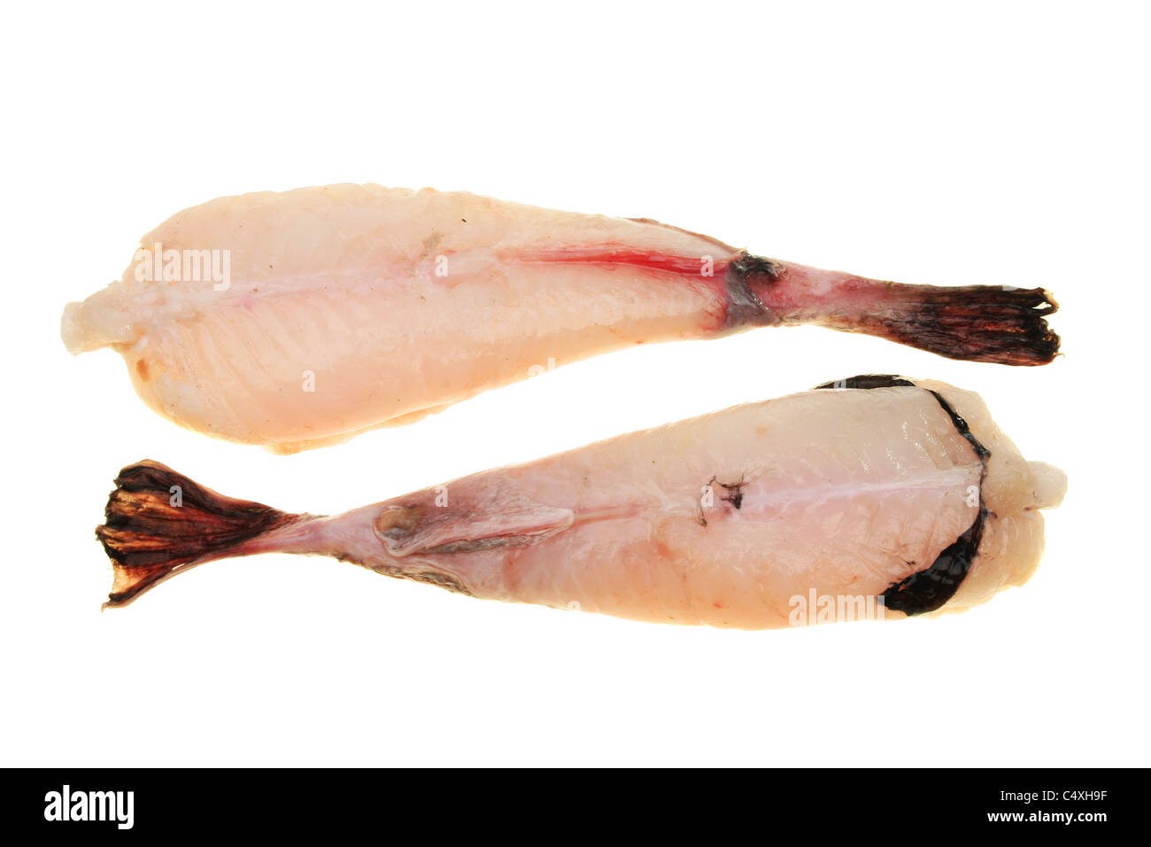 Two fresh monkfish tails isolated on white Stock Photo