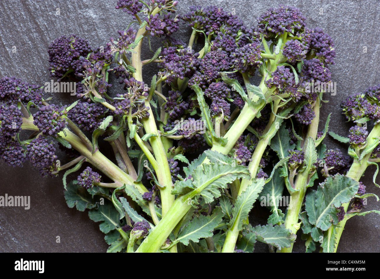 Freshly Picked Purple Sprouting Broccoli, Laid On A Slate Work Surface Stock Photo
