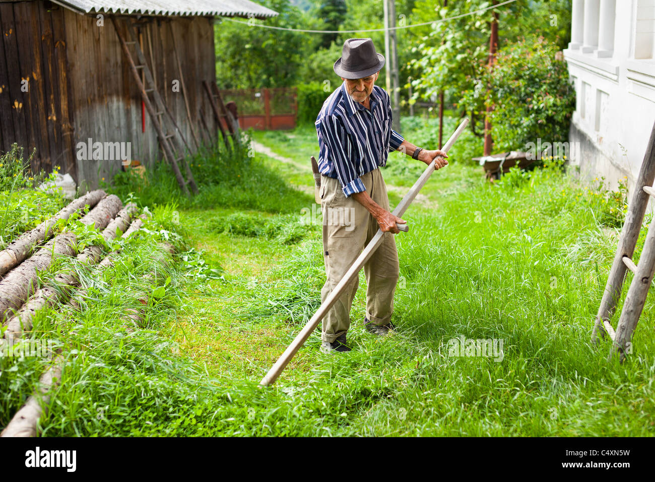 Senior farmer using scythe to mow the lawn traditionally Stock Photo
