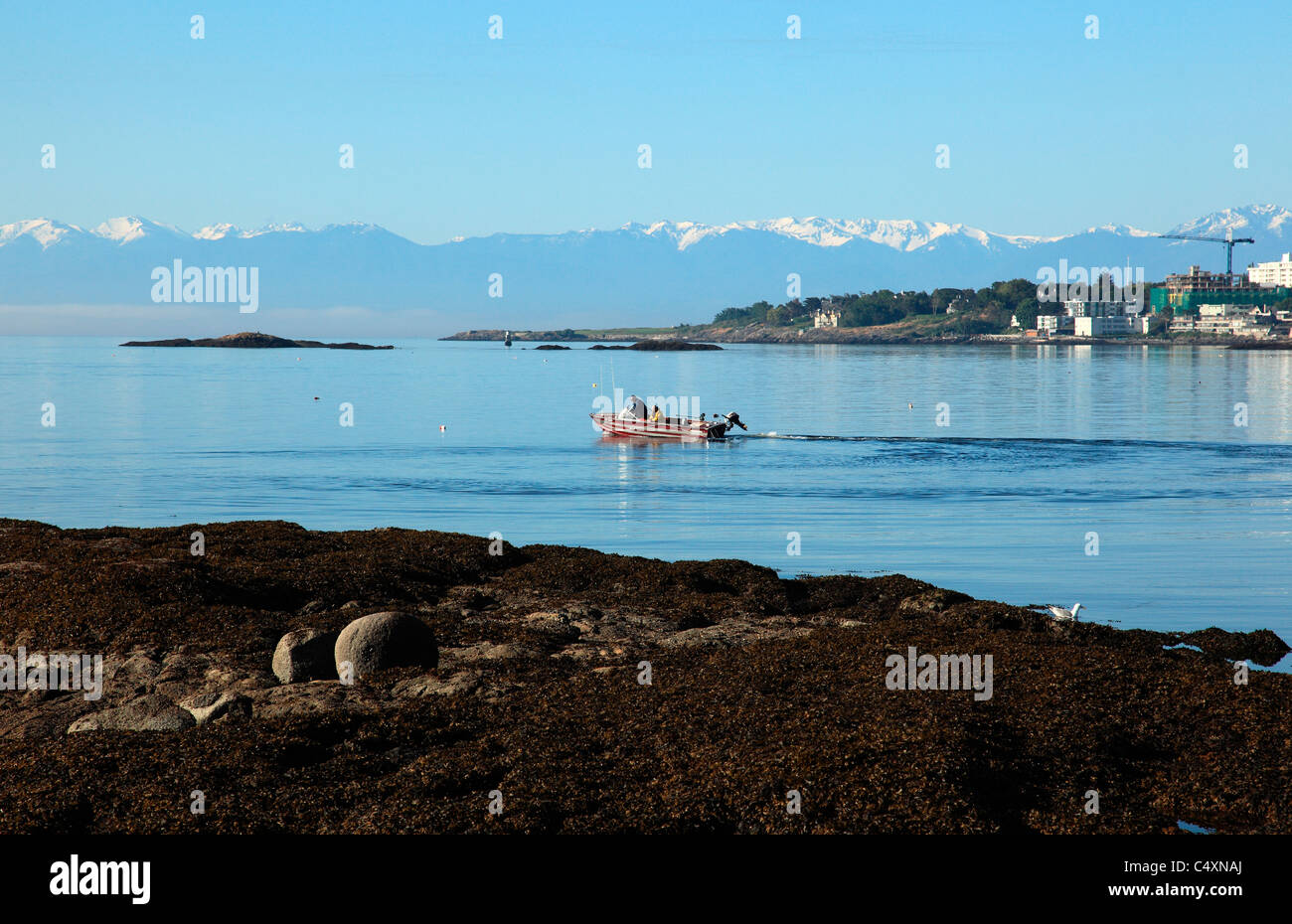 Boat heading out to fish on a calm summer morning Victoria BC Canada Stock Photo