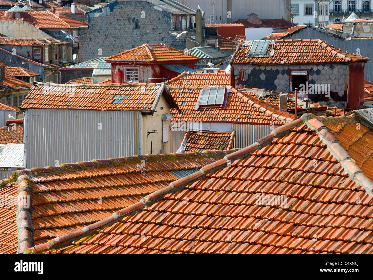 pantile rooftops in Porto, portugal, close packed buidings. Stock Photo
