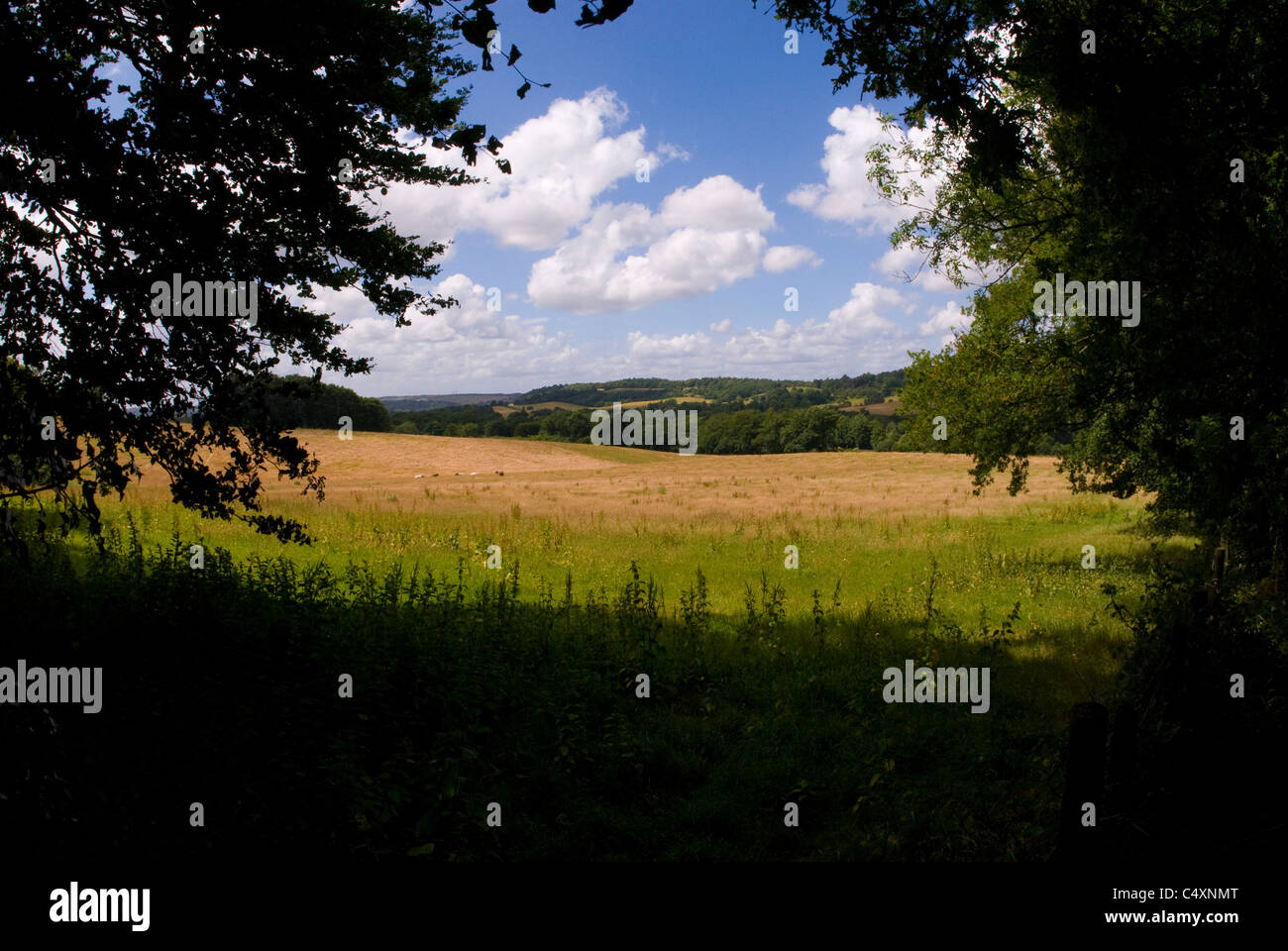 View of the North Downs below Ranmore, Surrey, UK Stock Photo