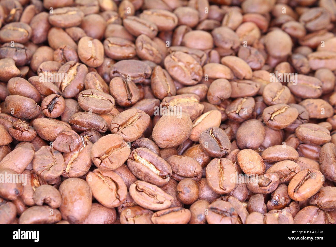 brown fresh coffee beans as a background image Stock Photo Alamy