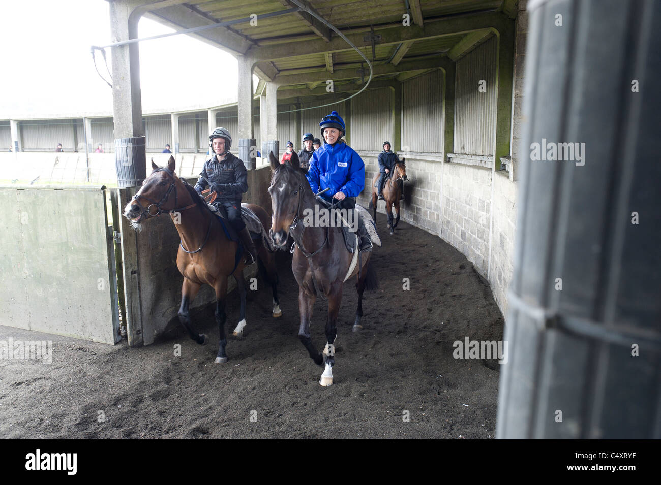 horse riding school Stock Photo