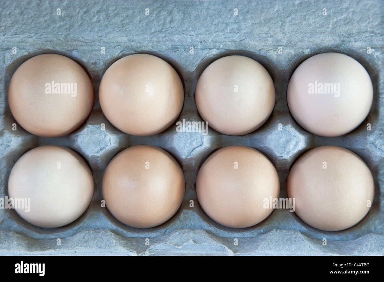 Brown 'chicken' eggs in carton, Stock Photo