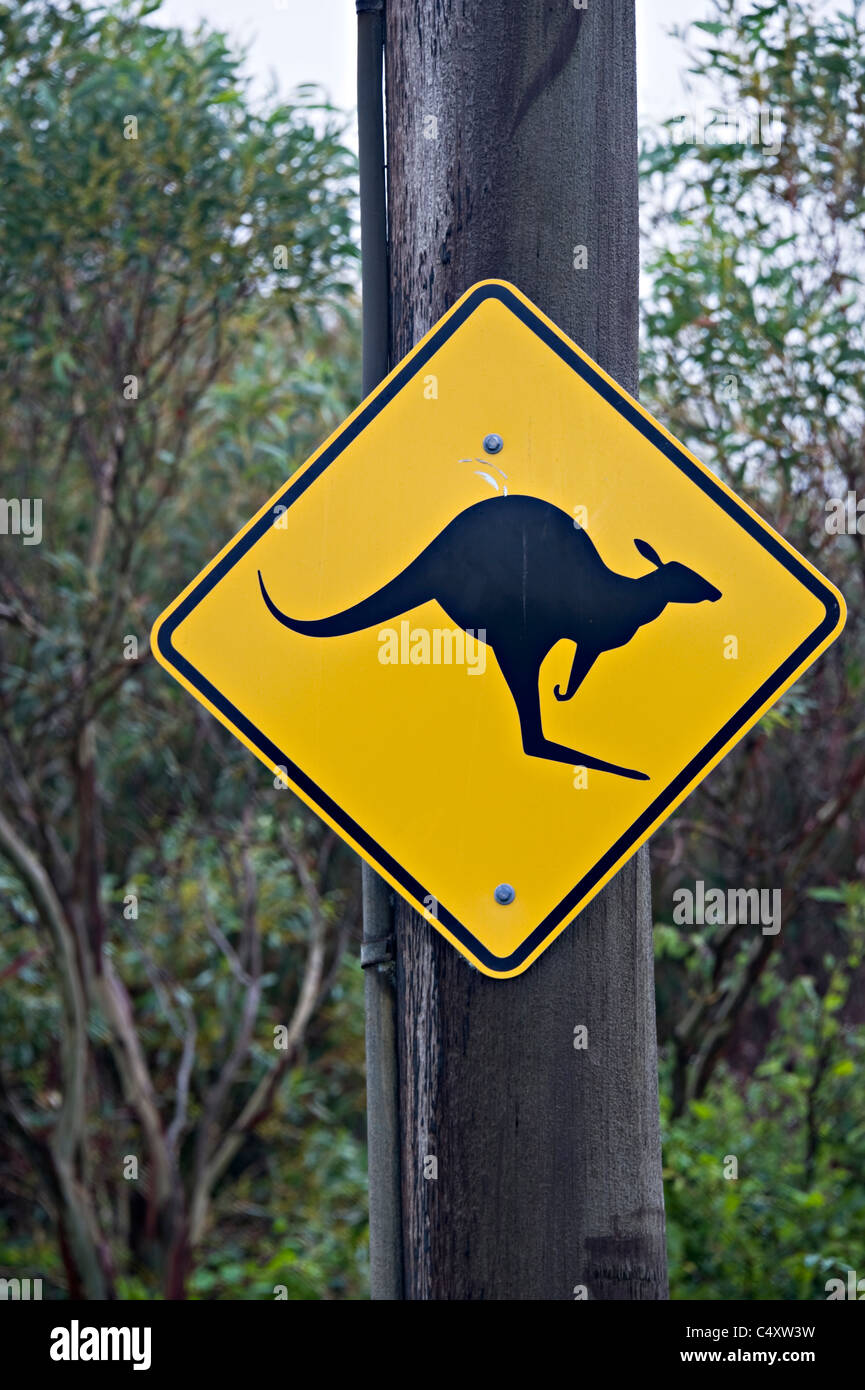 Danger sign wild animals hires stock photography and images Alamy