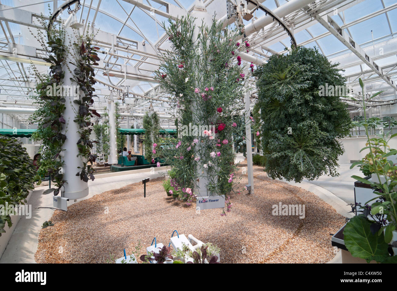 Epcot Theme Park Land Pavilion Walt Disney World Resort Orlando Florida The Behind The Seeds Tour Living With The Lands Tour Stock Photo Alamy