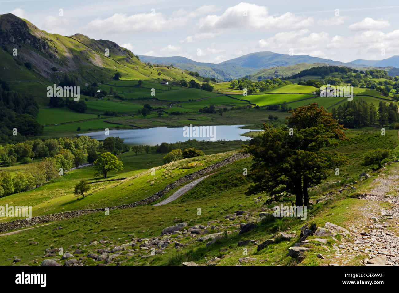 Little Langdale Tarn near Coniston in the Lake District National Park, Cumbria, England, UK. Stock Photo