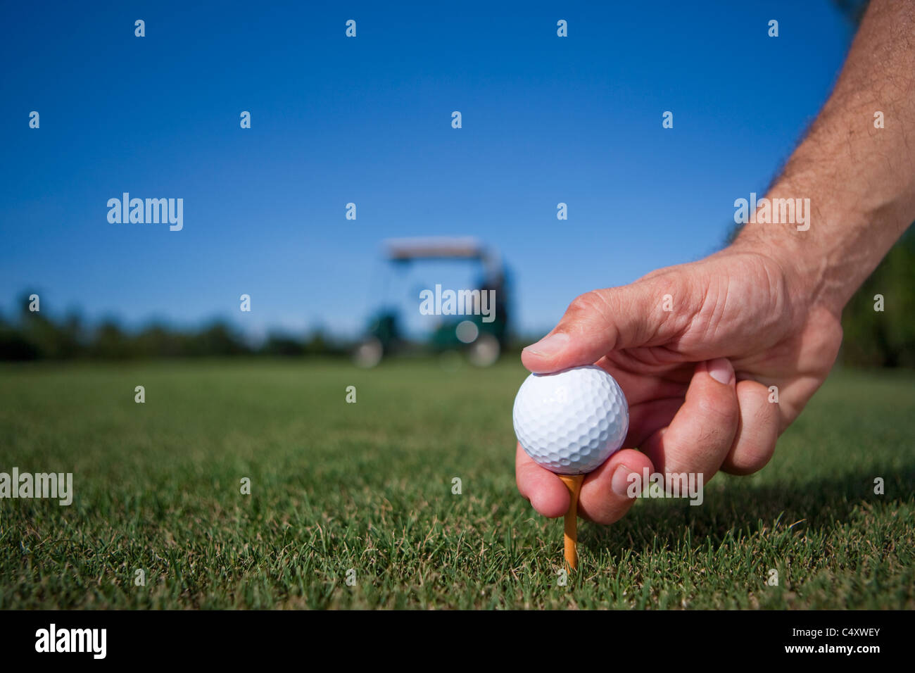 Placing a golf ball on the golf course on a summer's day with a golf cart blurred in the distance Stock Photo