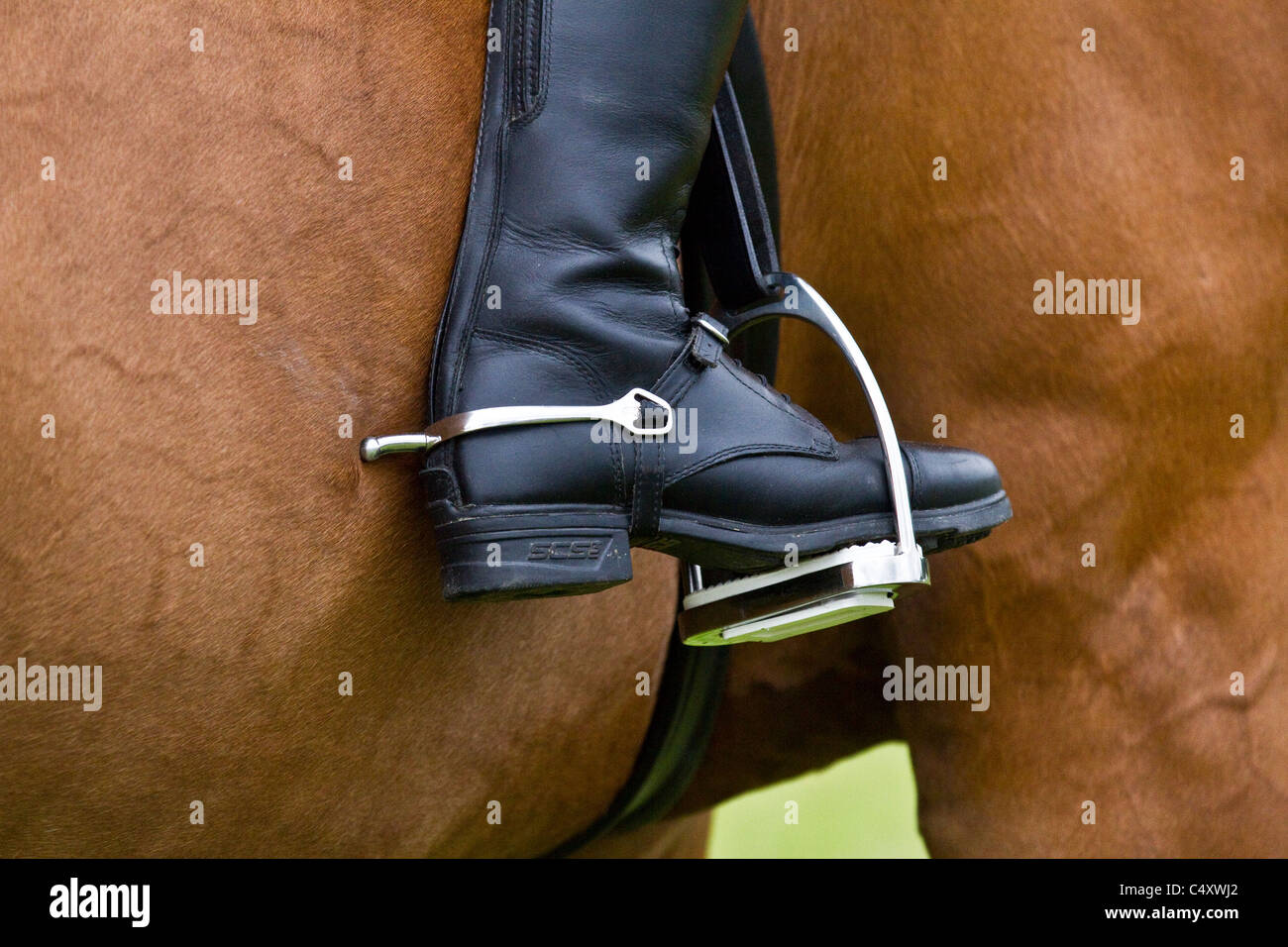 Horse riders foot in stirrup iron hi-res stock photography and images ...