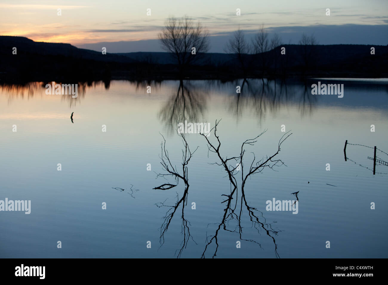 Bare limbs of trees are reflected on still surface of springfed lake on ranch in west Texas