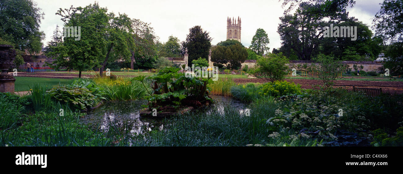 A panoramic view of the University of Oxford Botanic gardens, pond and Magdalen tower in background Stock Photo
