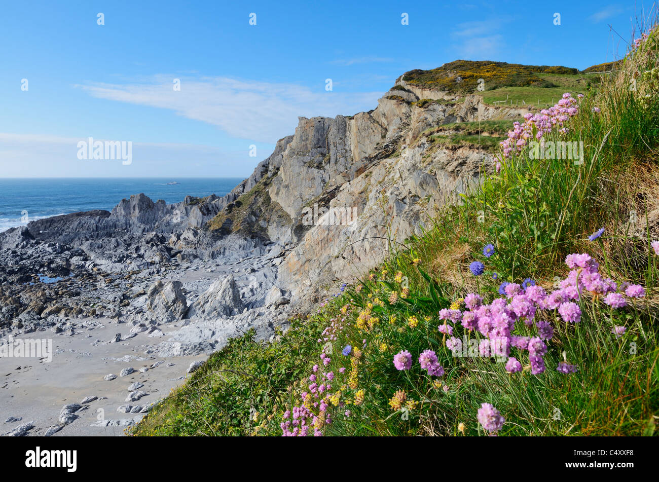 On the cliff top High Resolution Stock Photography and Images Alamy