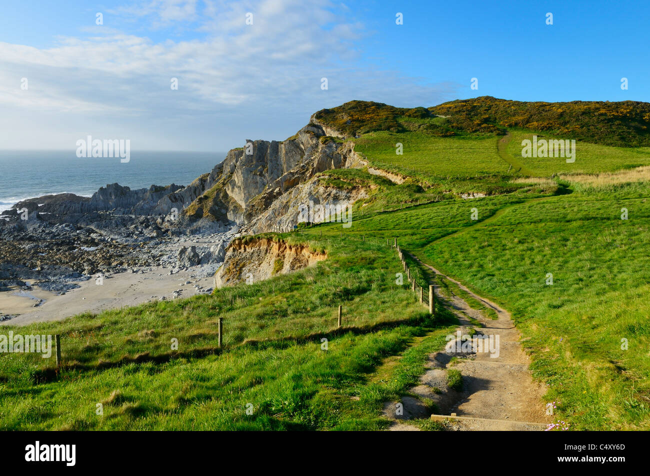 The South West Coast Path along the cliff top at Rockham Bay, Mortehoe