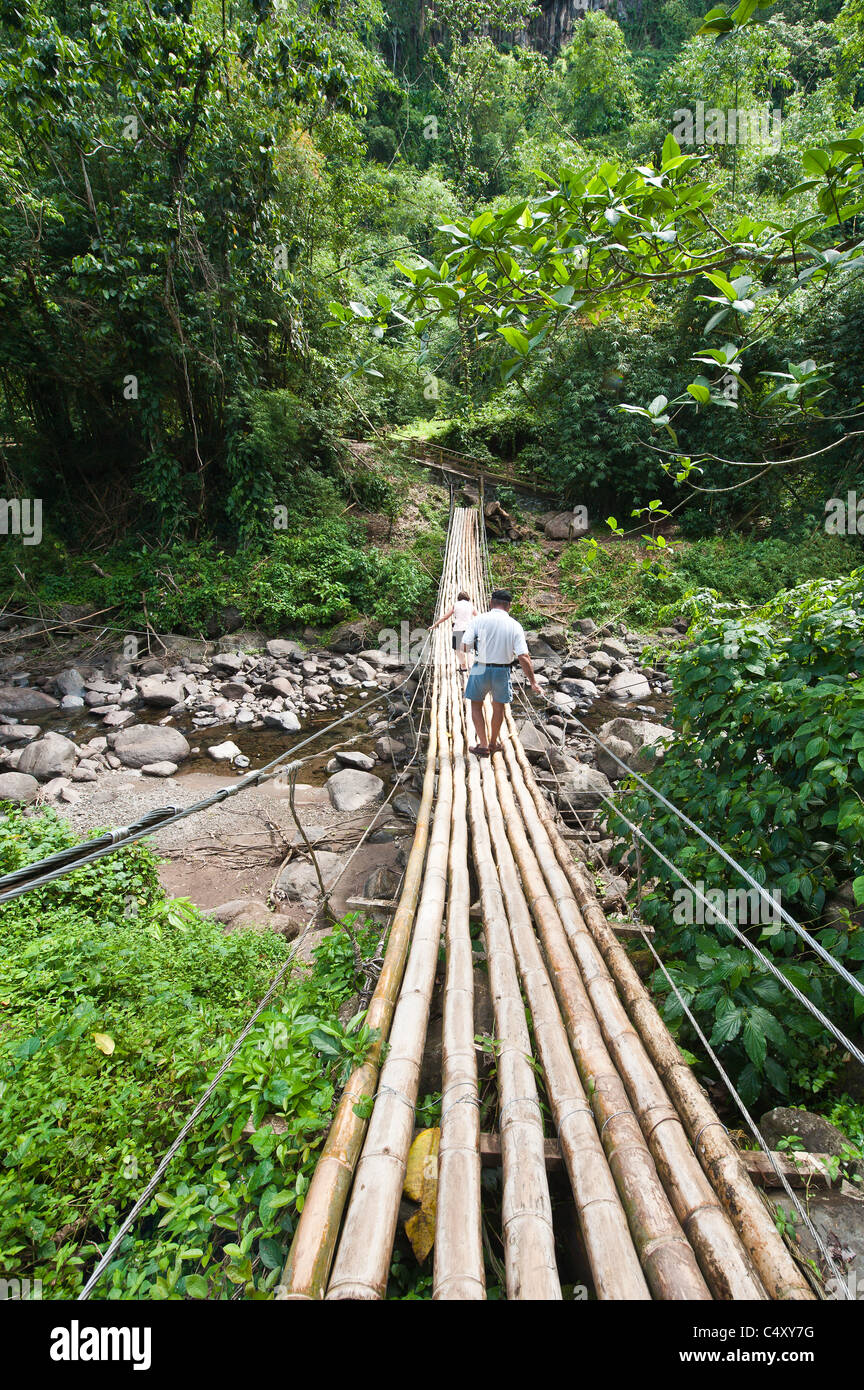 Bamboo bridge at Dark View Falls, St. Vincent & The Grenadines. Stock Photo