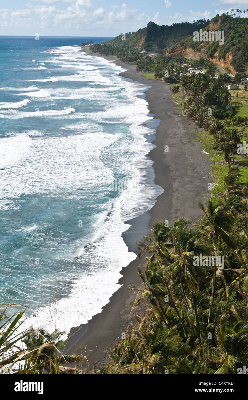 Coconut Trees Lining The Black Sand Of Colonarie Beach St Vincent Stock Photo Alamy