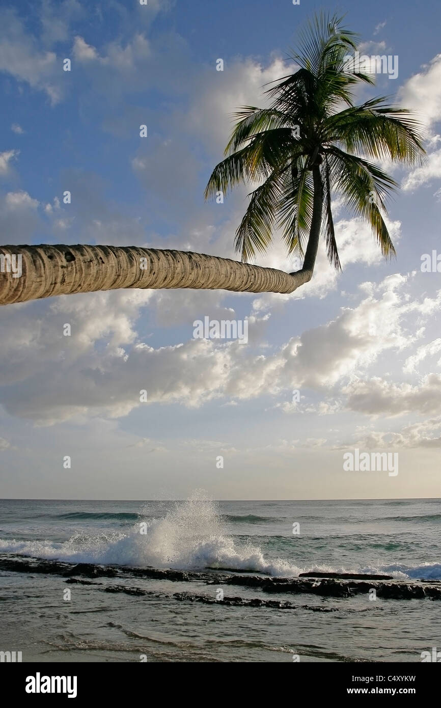 Beach scene in Puerto Rico Stock Photo