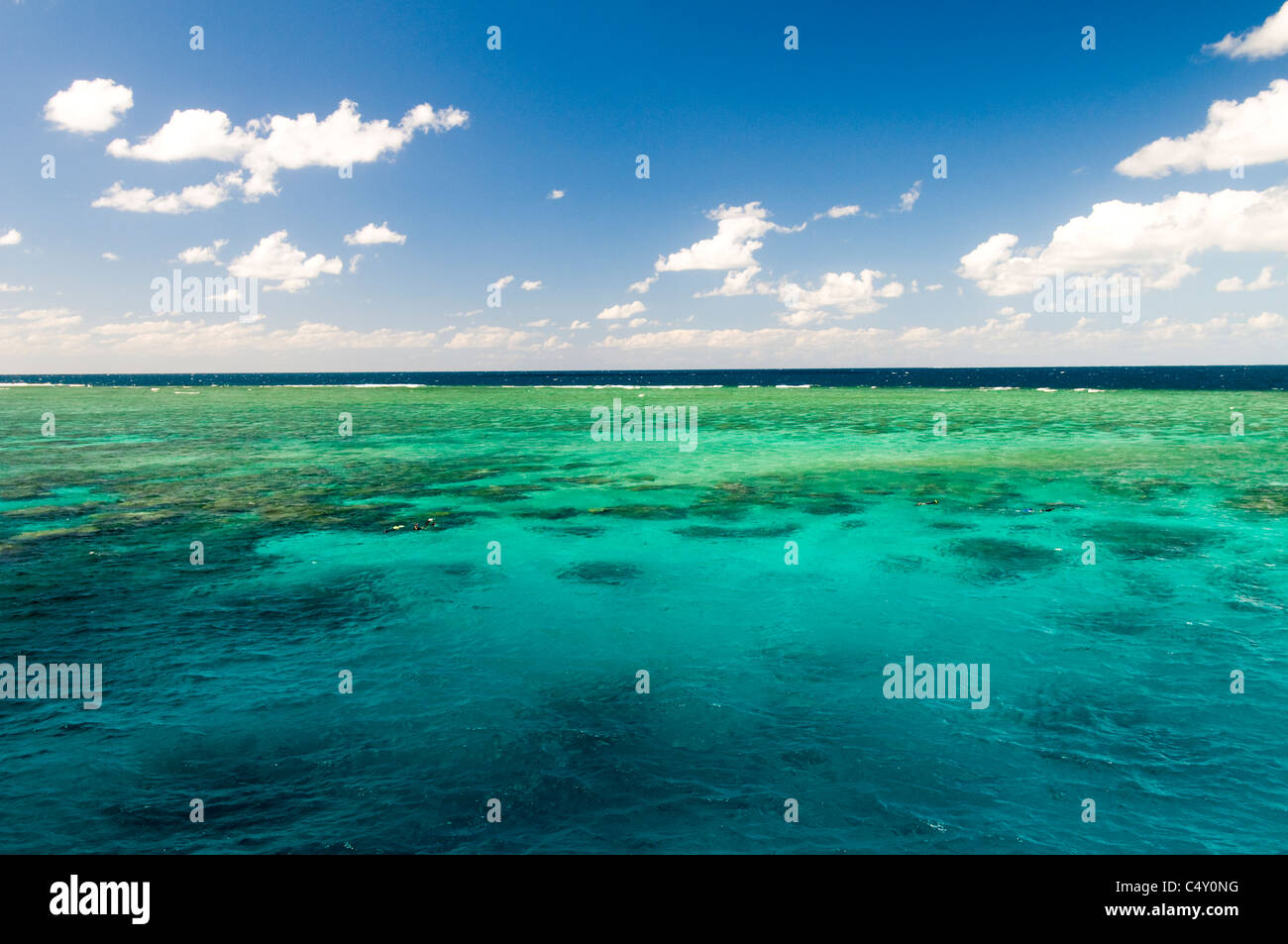 Great Barrier Reef northeast of Cairns in Queensland Australia Stock Photo