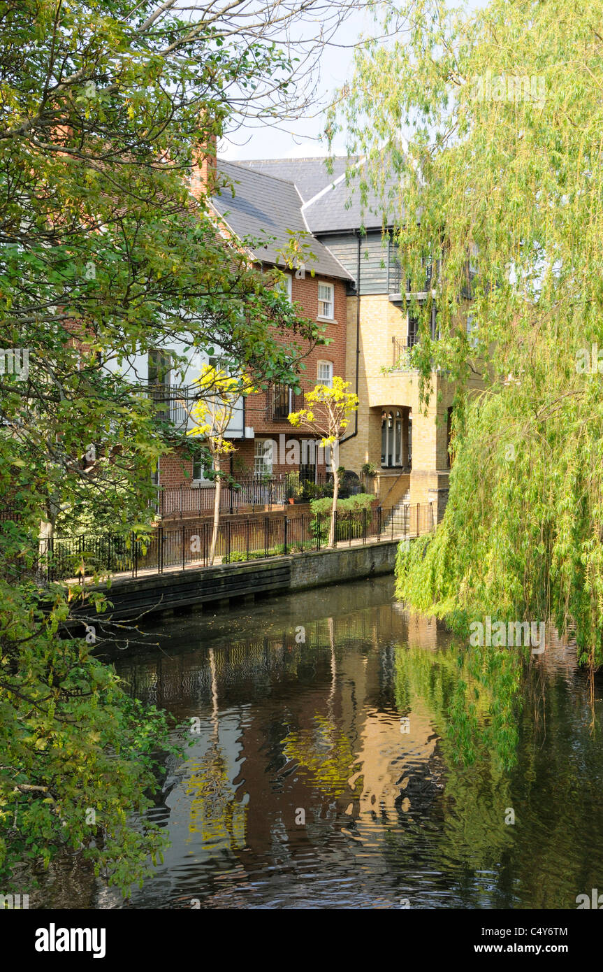 Riverside houses by the River Lea, Hertford Stock Photo Alamy