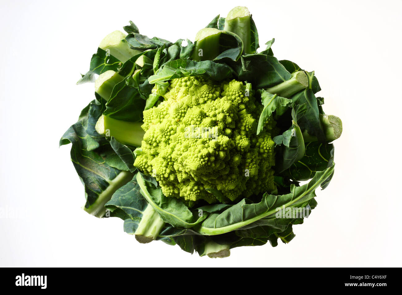 Vegetable, Romanesco broccoli, green type of cauliflower Stock Photo