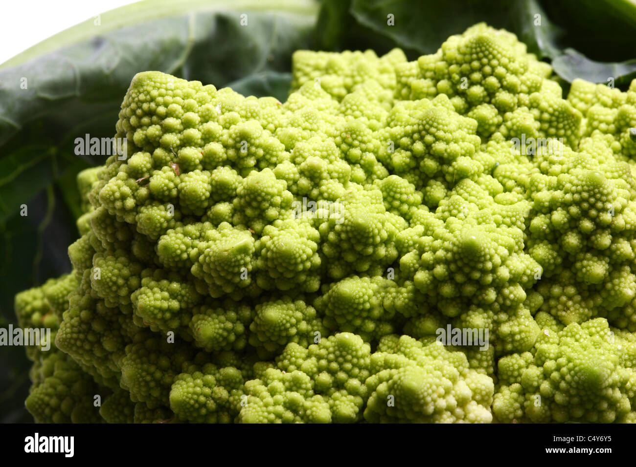Vegetable, Romanesco broccoli, green type of cauliflower Stock Photo