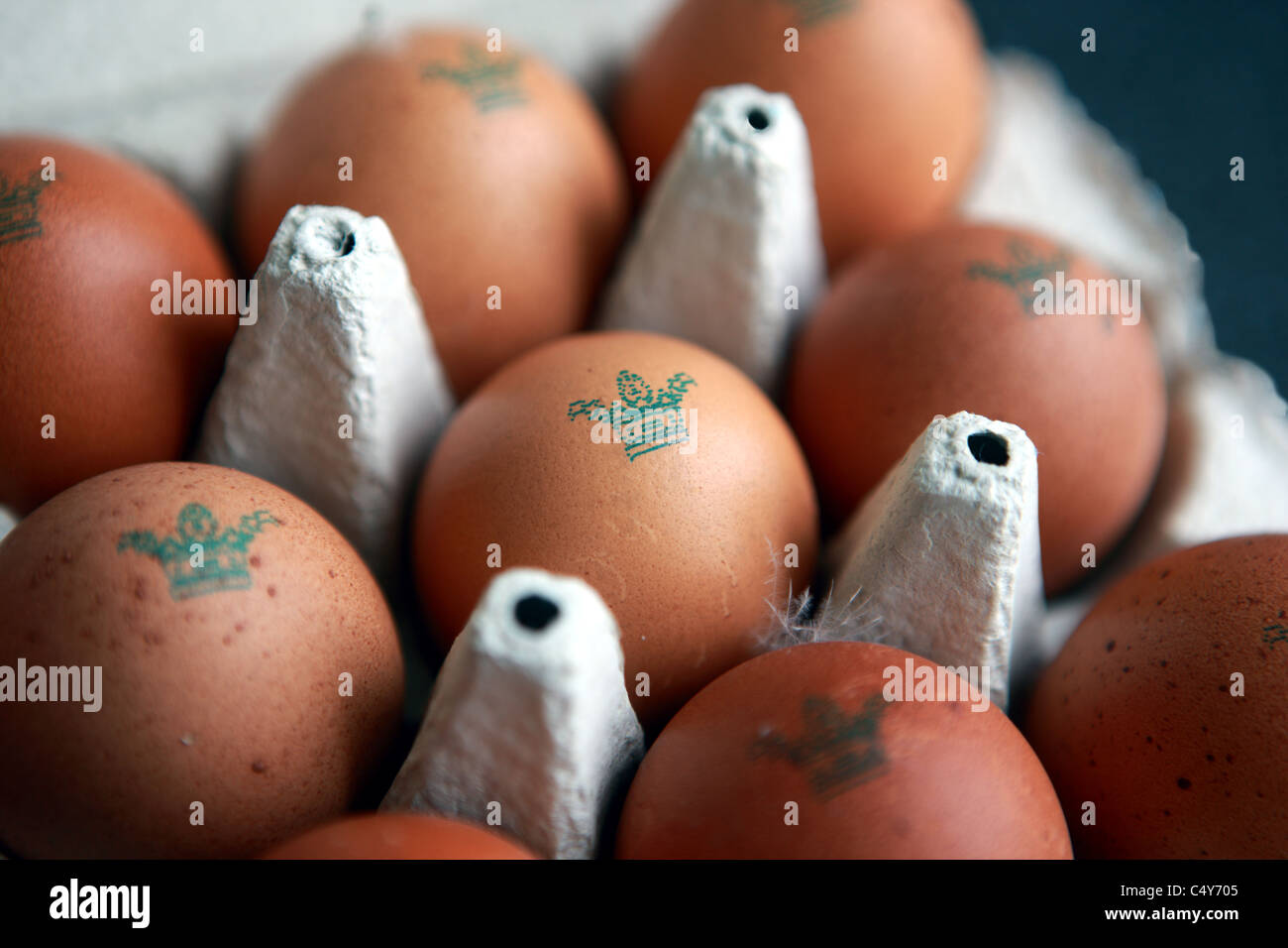 Free range eggs from Burford Brown hens in an egg box Stock Photo