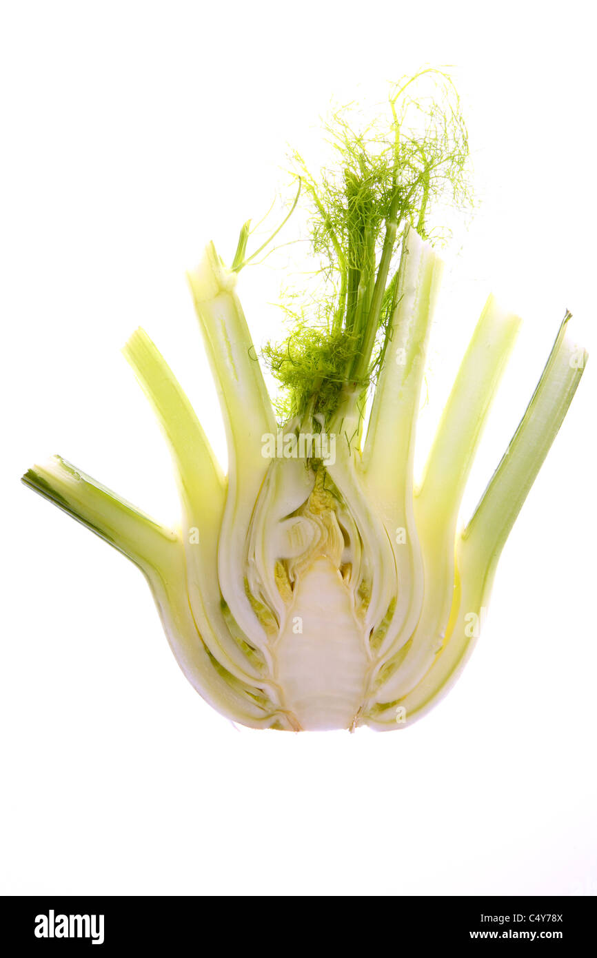 Slice fennel hires stock photography and images Alamy