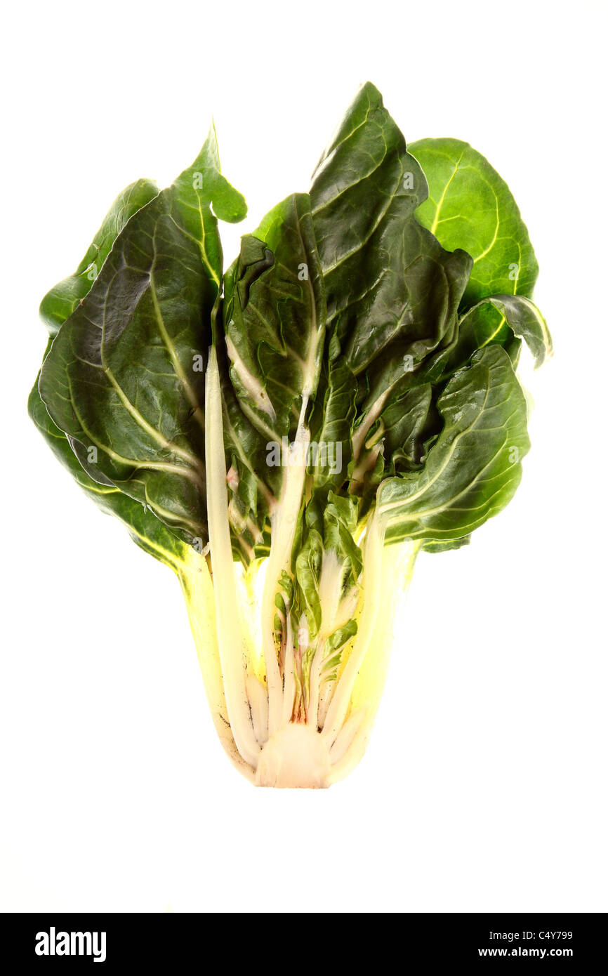 Vegetable, romaine lettuce Stock Photo Alamy